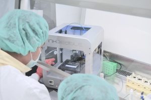 Учёные создали искусственный хрящ с помощью 3D принтера