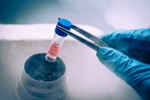 Эффективность применения стволовых клеток в пластической хирургии
