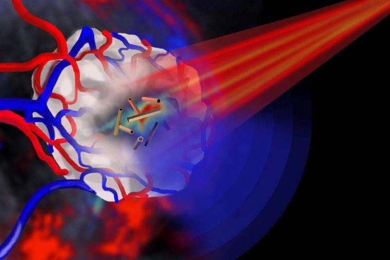 Лазеры отслеживают поведение нанотрубок в живых клетках