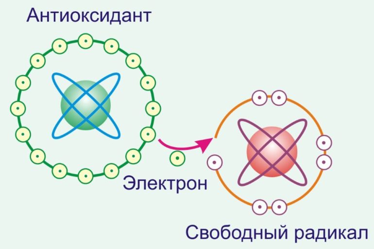 Зачем нашему организму нужны антиоксиданты?