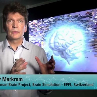 Проект "Blue Brain"
