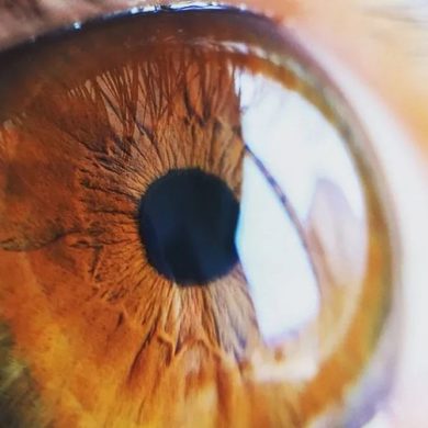 Стволовые клетки помогают заживлению роговицы глаза