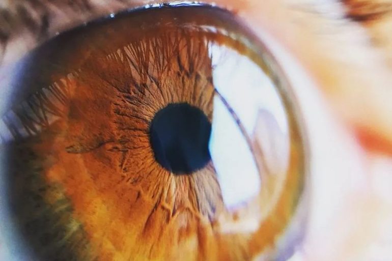 Стволовые клетки помогают заживлению роговицы глаза