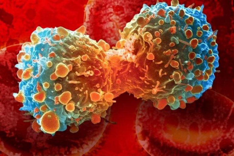 Проливая свет на метаболизм рака