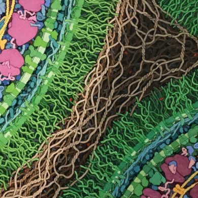 Ученые обнаружили микросхемы внутри клеток человеческого тела