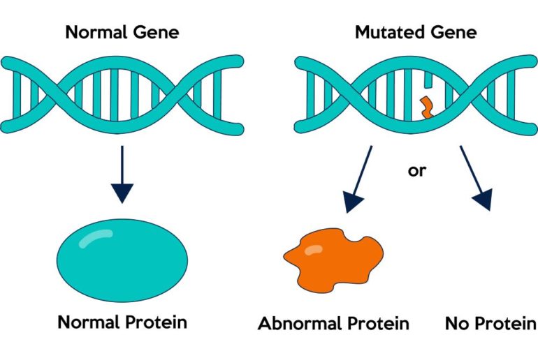 Редкие мутации генов могут предотвратить сердечные заболевания