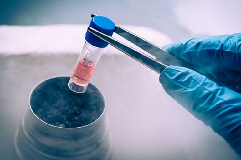 Иммунная система и лечение стволовыми клетками