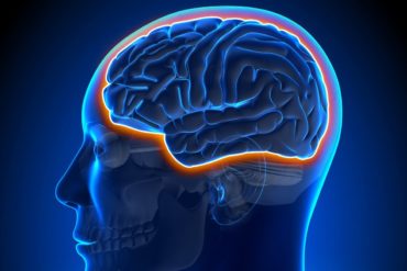 Ультразвуковой метод восстановления дофаминергического пути в головном мозге на ранних стадиях болезни Паркинсона