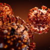 Пандемия коронавируса COVID-19 имеет естественное происхождение