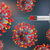 Новые соединения для потенциального лечения новых коронавирусов