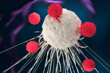 Роль Т-клеток в борьбе с раком