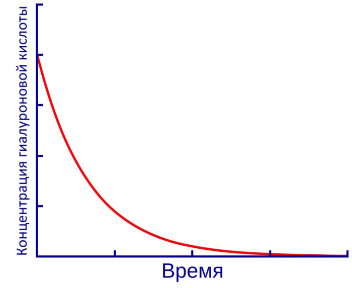 Динамика рассасывания гиалуроновой кислоты