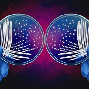 Зеркальные клетки и зеркальные бактерии