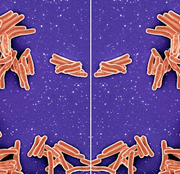 Размышления о рисках «зеркальной жизни»